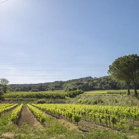 Hébergement de vacances Gite Tresques