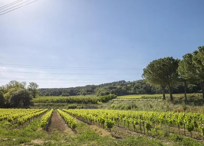 Vakantiehuis Gite Tresques